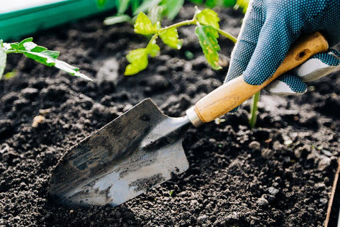 ابزار باغبانی