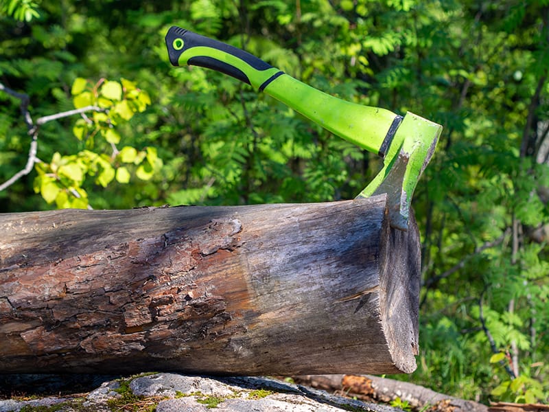 تبر باغی از ابزار باغبانی 