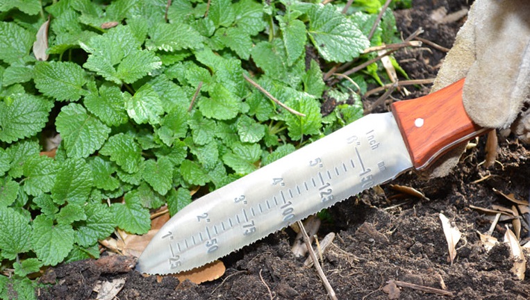 چاقوی باغبانی از ابزار باغبانی