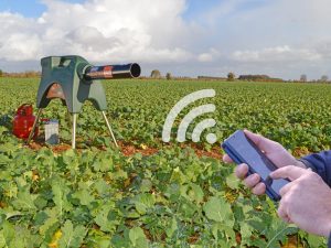 کلاغ پران یا توپ صوتی