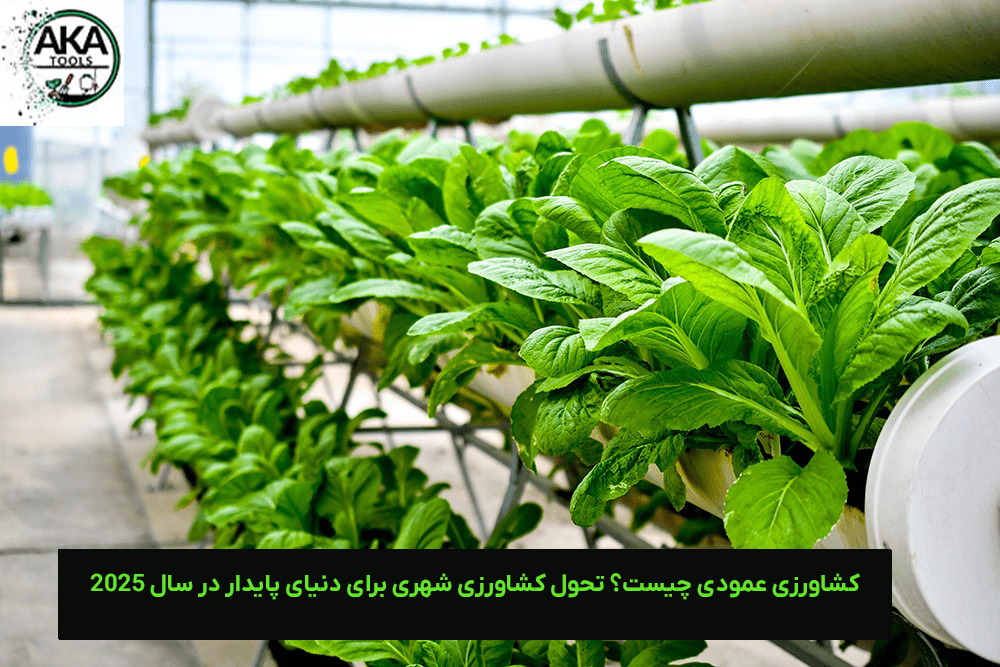 کشاورزی عمودی در قزوین