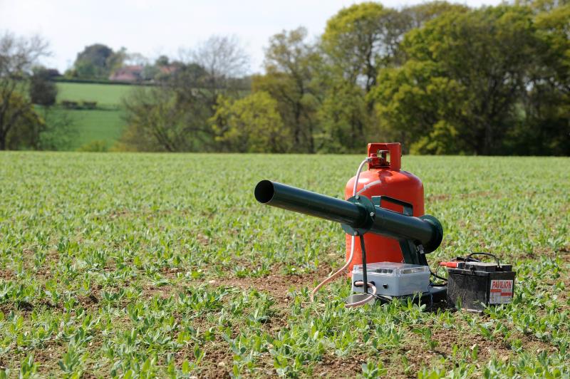 توپ صوتی کلاغ پران