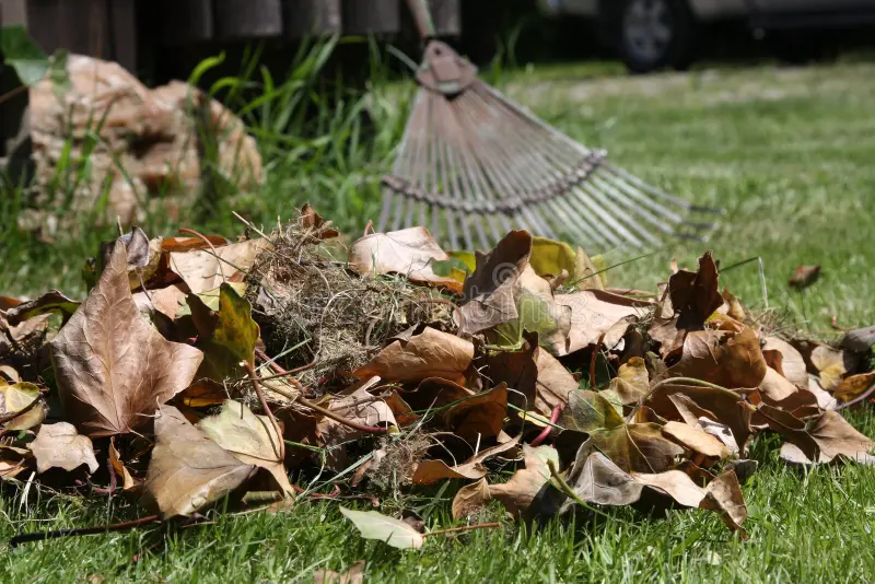 مهمترین اقدامات کشاورزی در پاییز؛ چکلیست عملی و کاربردی