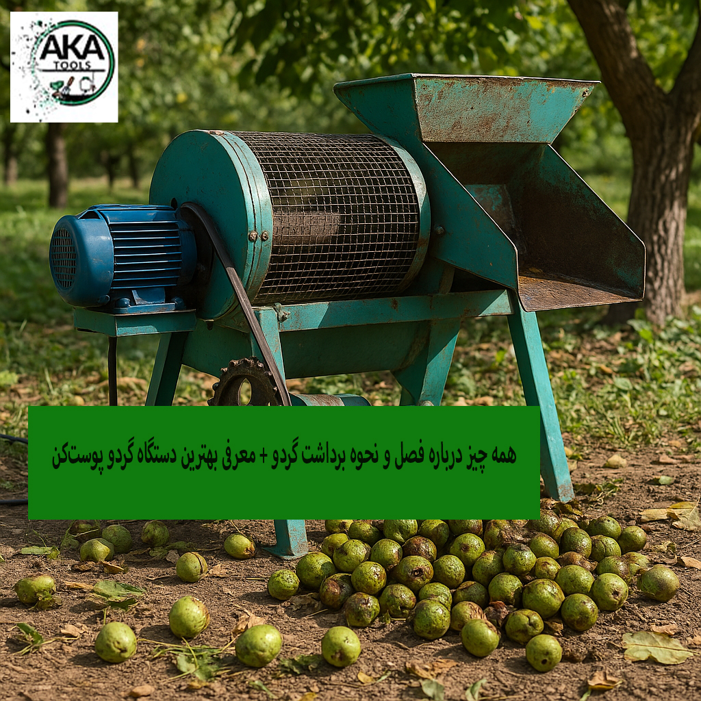 فصل و نحوه ی برداشت گردو