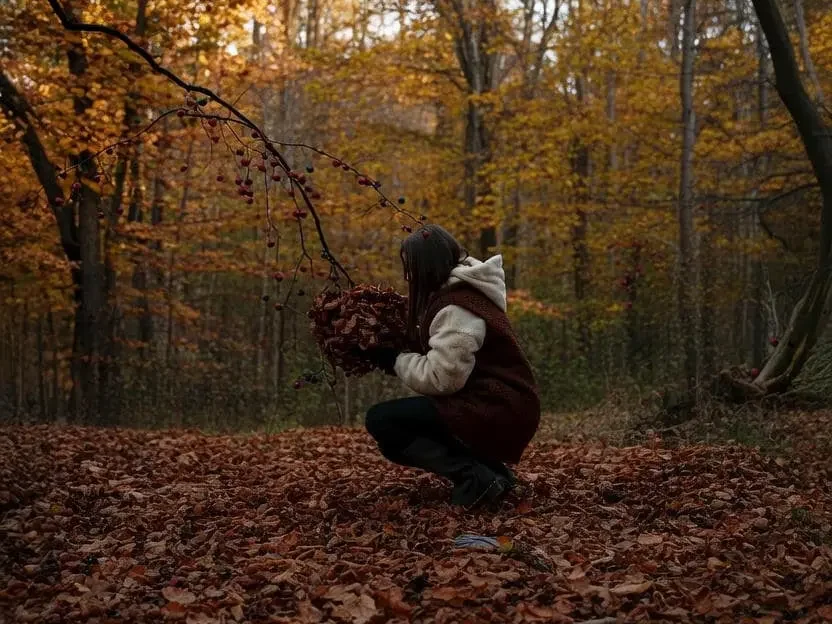 سمپاشی پس از ریزش برگها