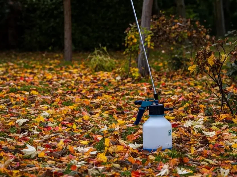 سمپاشی پیشگیرانه آفات با سمپاش دستی