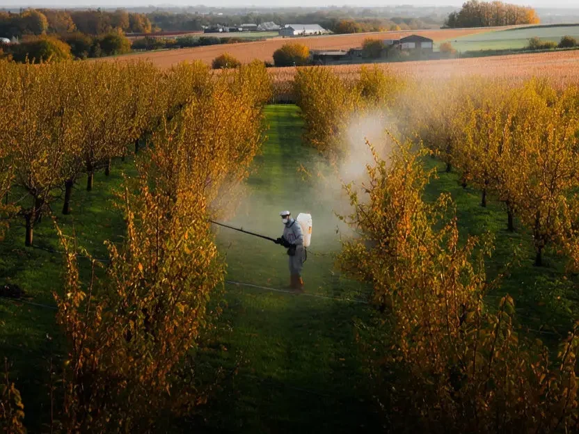 سمپاشی با بردوفیکس برای سمپاشی پاییزه و زمستانه