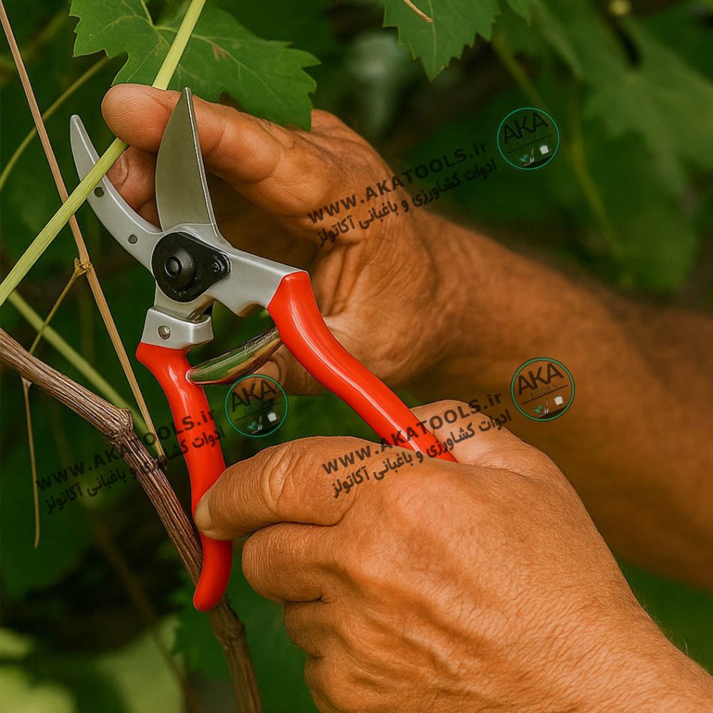 قیچی هرس طرح فیلکو