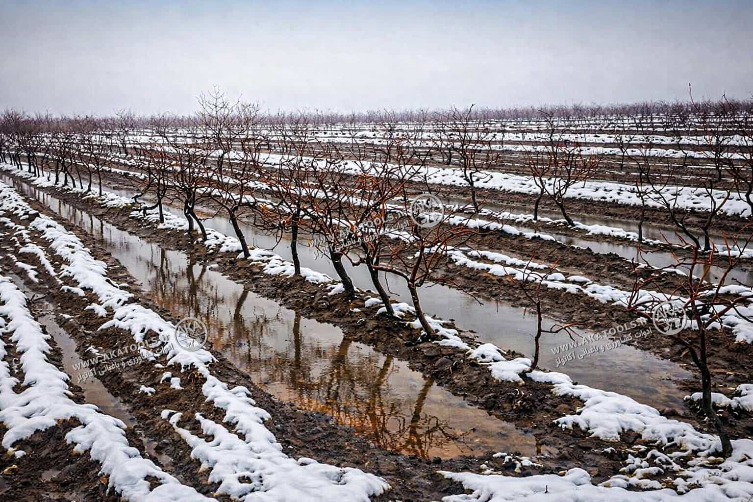 یخ آب زمستانه