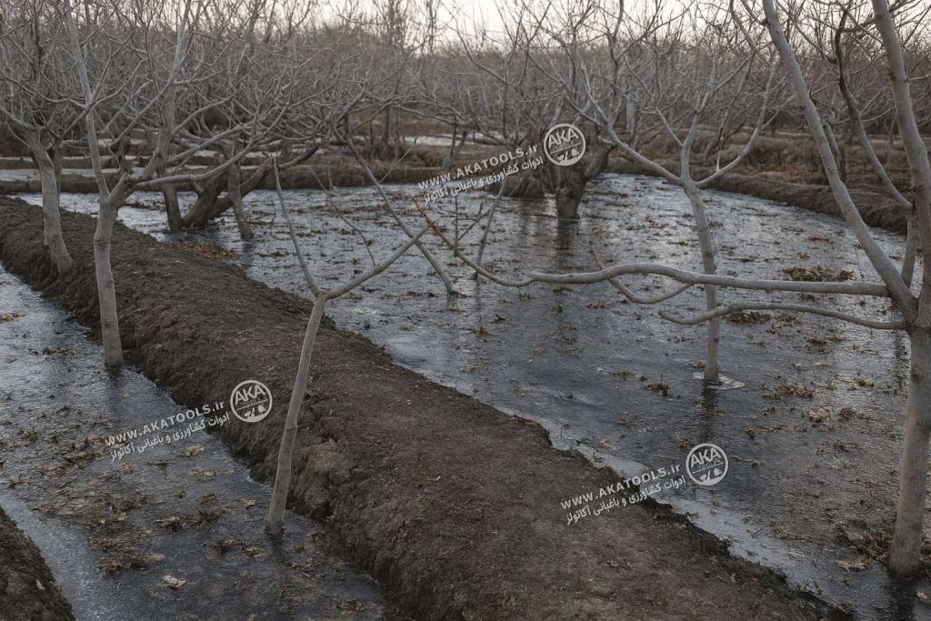 روش انجام یخ آب زمستانه