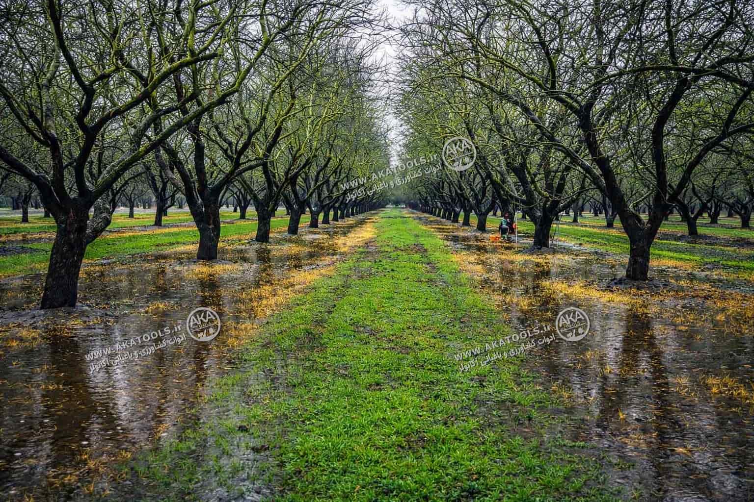 آموزش یخآب زمستانه قدمبهقدم
