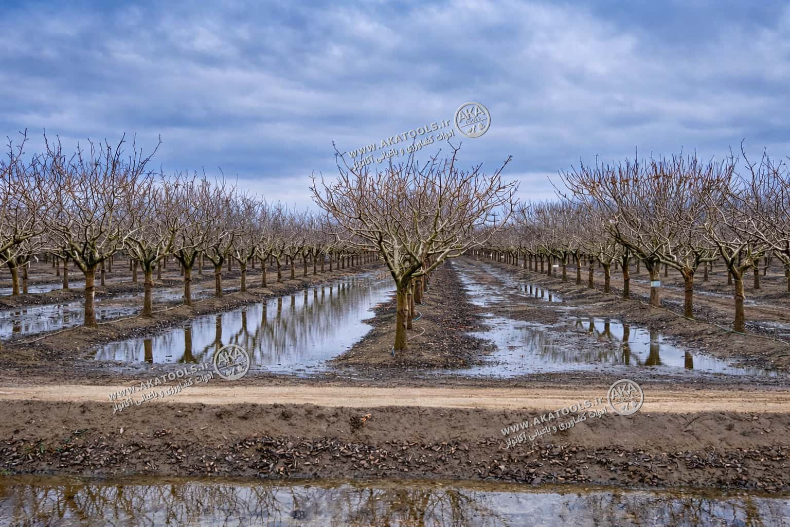 بهترین زمان اجرای یخآب زمستانه