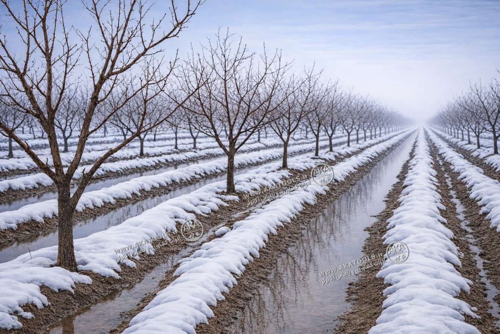 اشتباهات رایج یخ آب زمستانه